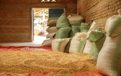 Pakistan sees double-digit rise in textile, rice exports in Jan