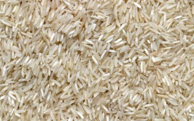 India continues to top in global rice exports despite govt curbs